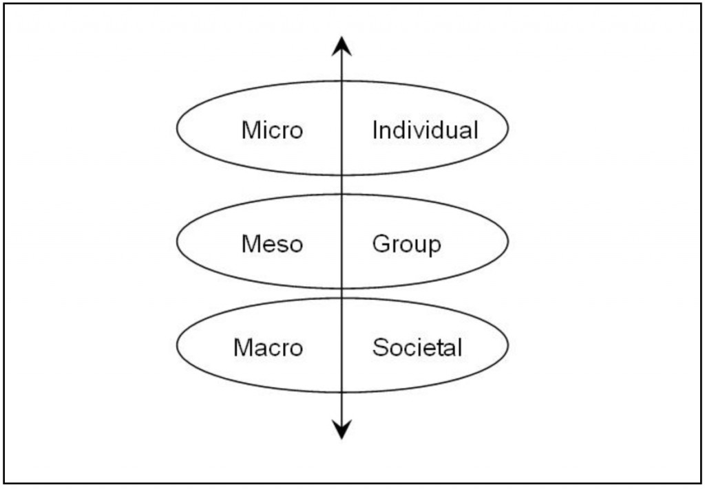 Illustration of the interaction of levels at which social capital exists.