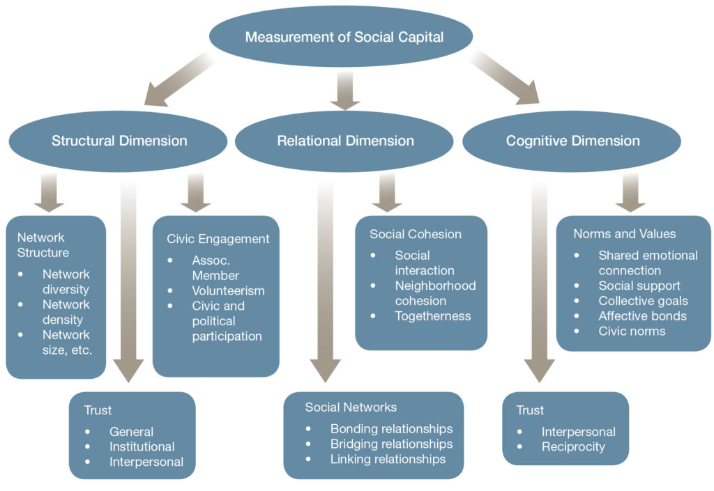 Example of social capital measurement linked to theory