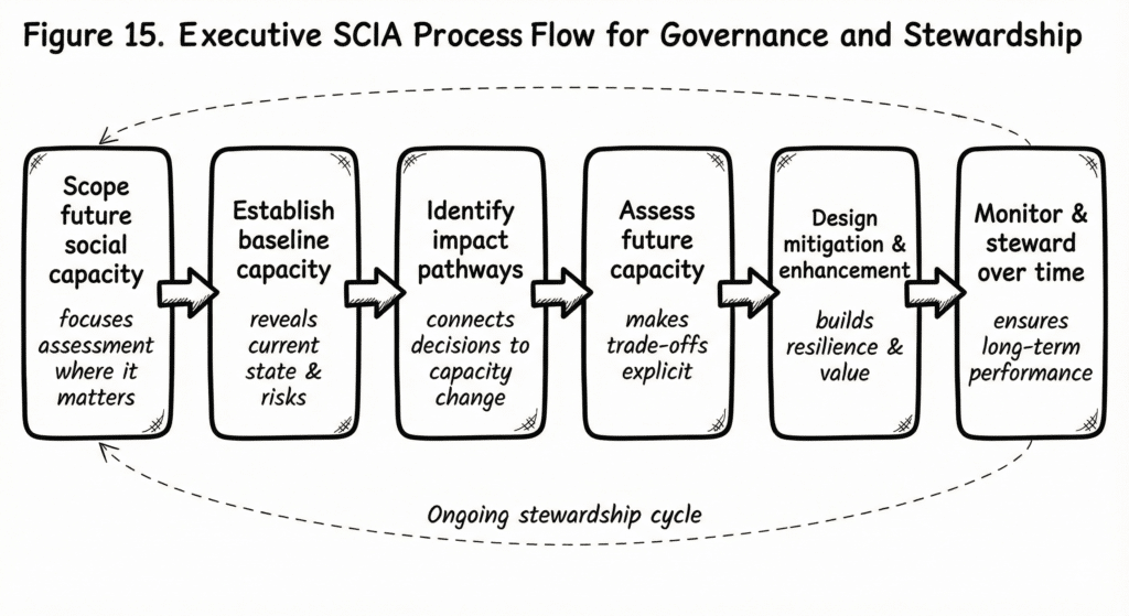 The Social Capital Impact Assessment Process
