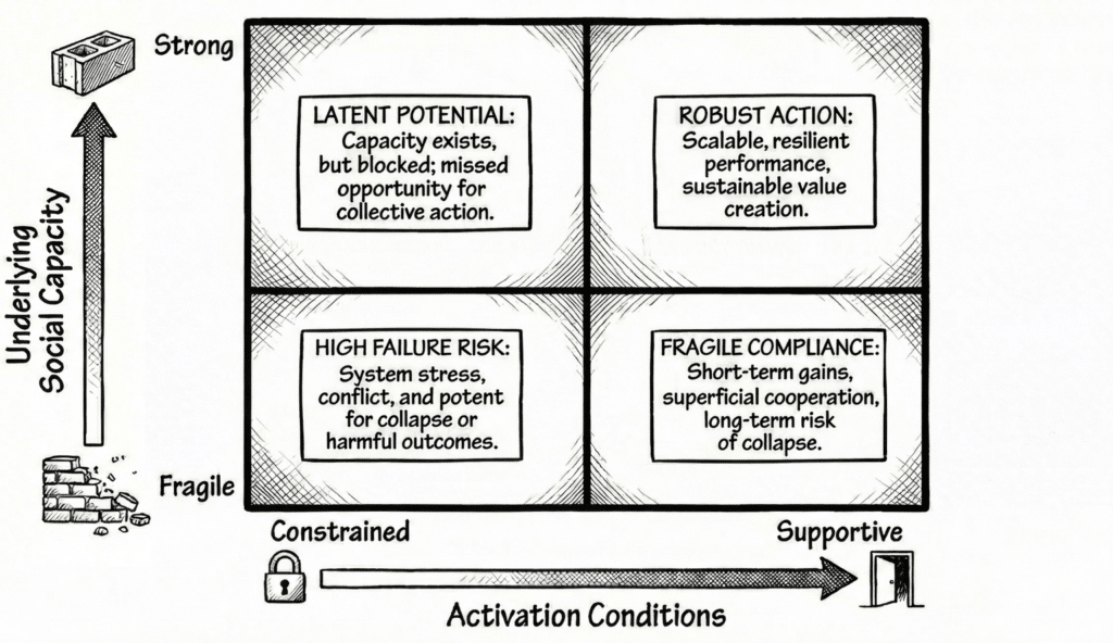 Social Capacity Risk & Opportunity Matrix